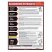 Bloodborne Pathogens Posters image