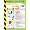 When A Spill Occurs Posters