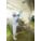 Product Image #5