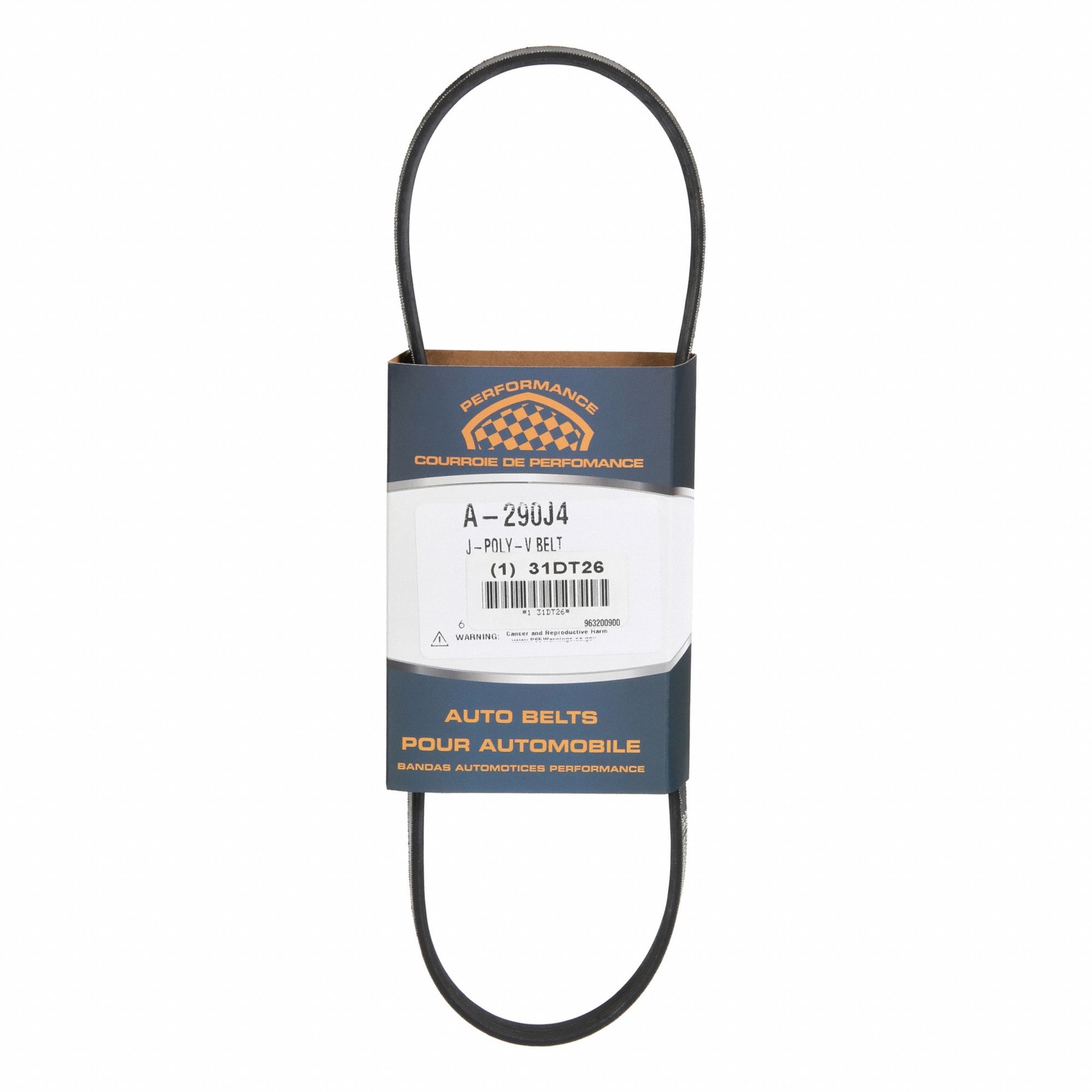 Rear Drive Belt