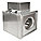 INLINE DUCT BLOWER,11 IN,