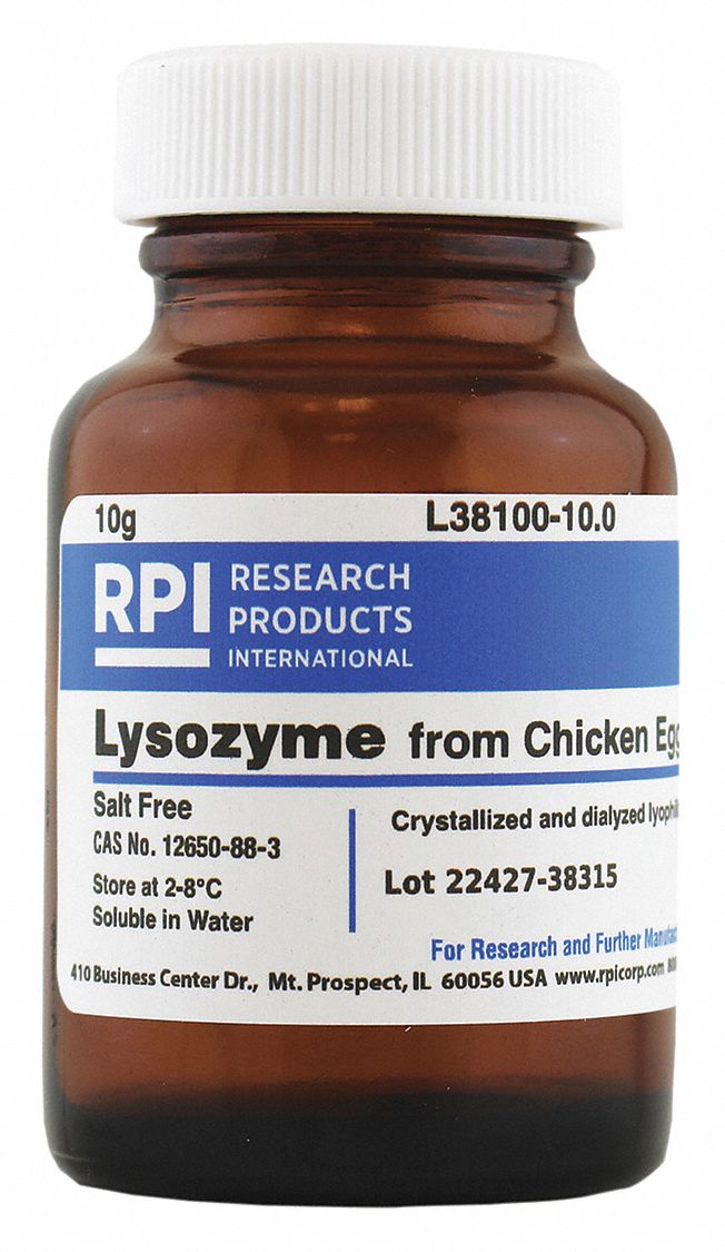 RPI Lysozyme From Chicken Egg White, 10 G Powder - 31FZ78|L38100-10.0 ...