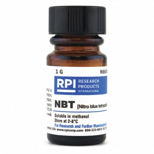 RPI Nitro blue tetrazolium (NBT), Powder, 1 g, 1 EA 31GC12N660001.0