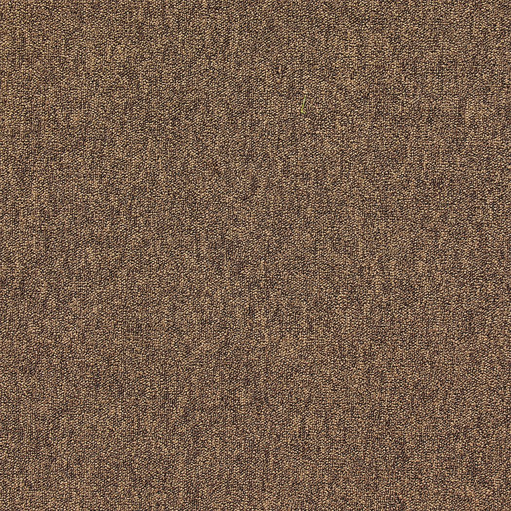 31HL69 - Carpet Tile 19-11/16in. L Coffee PK20