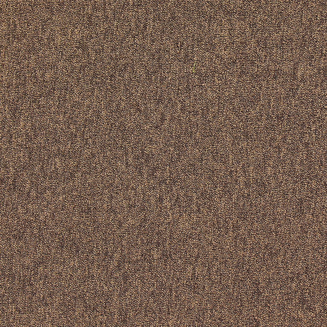 Carpet Tile 19 11/16 in W Coffee