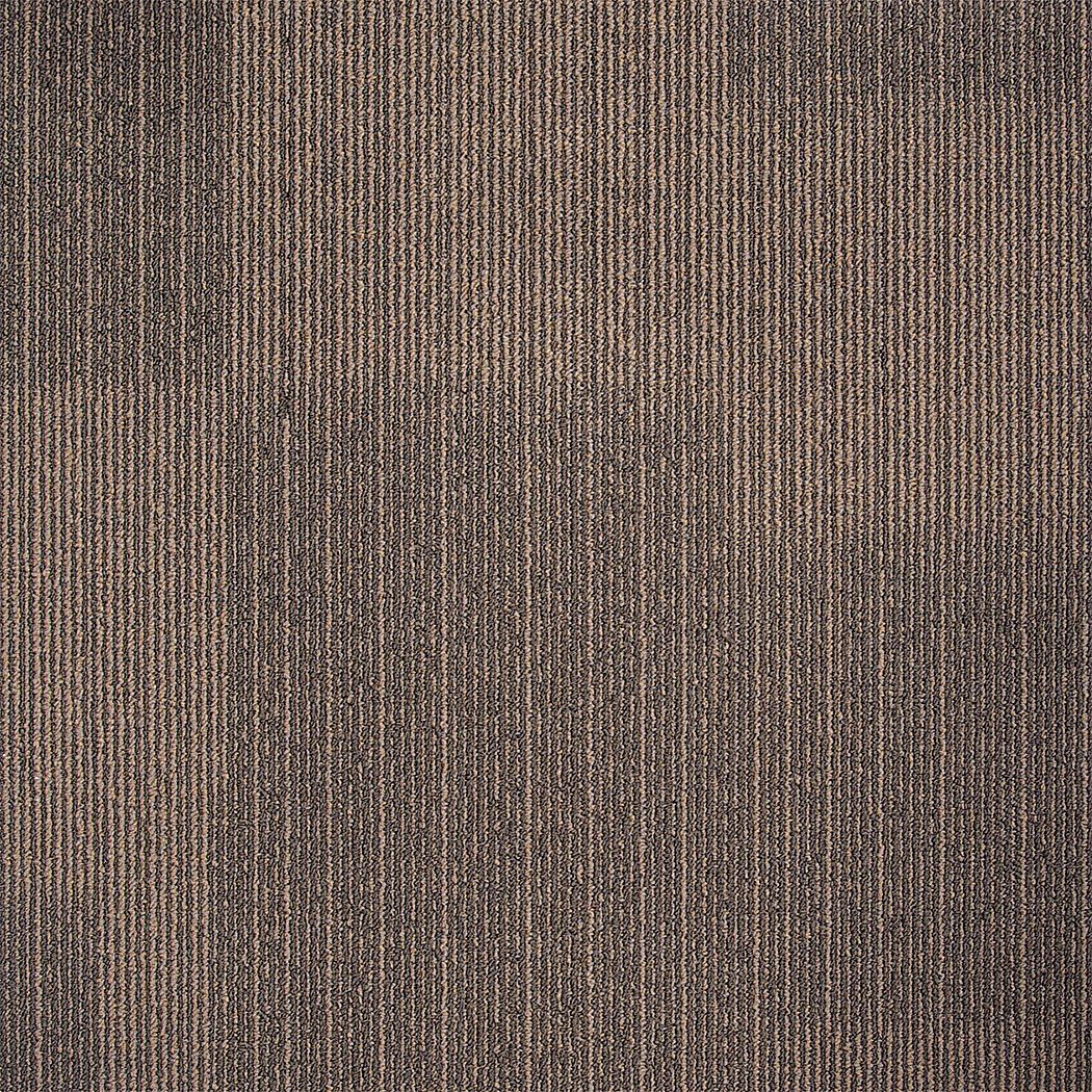 31HL75 - Carpet Tile 19-11/16in. L Brown PK20