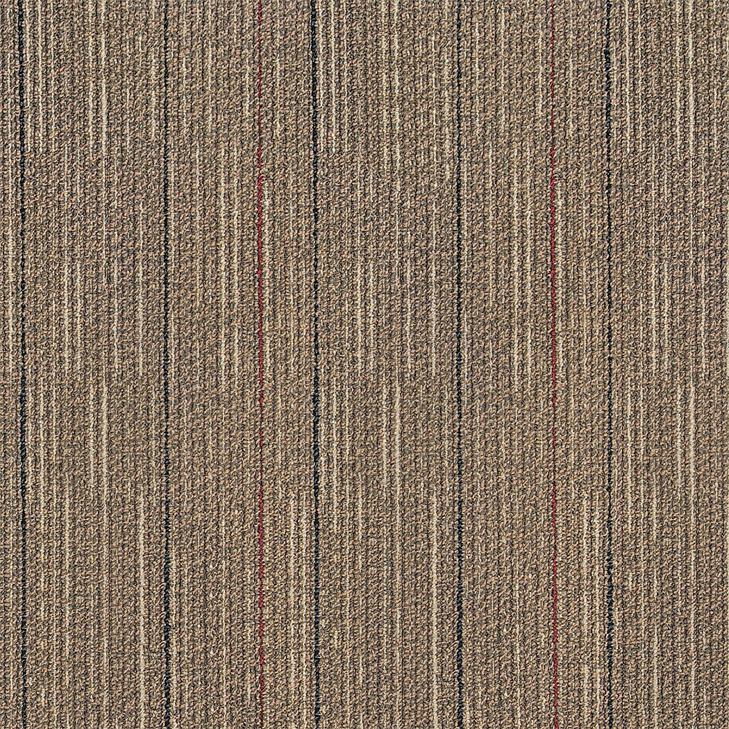 31HL79 - Carpet Tile 19-11/16in. L Brown PK20