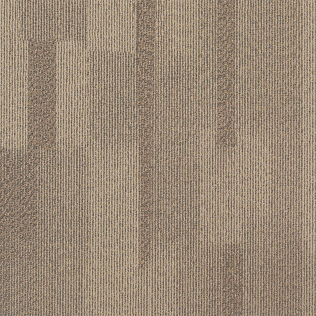 31HL82 - Carpet Tile 19-11/16in. L Beige PK20