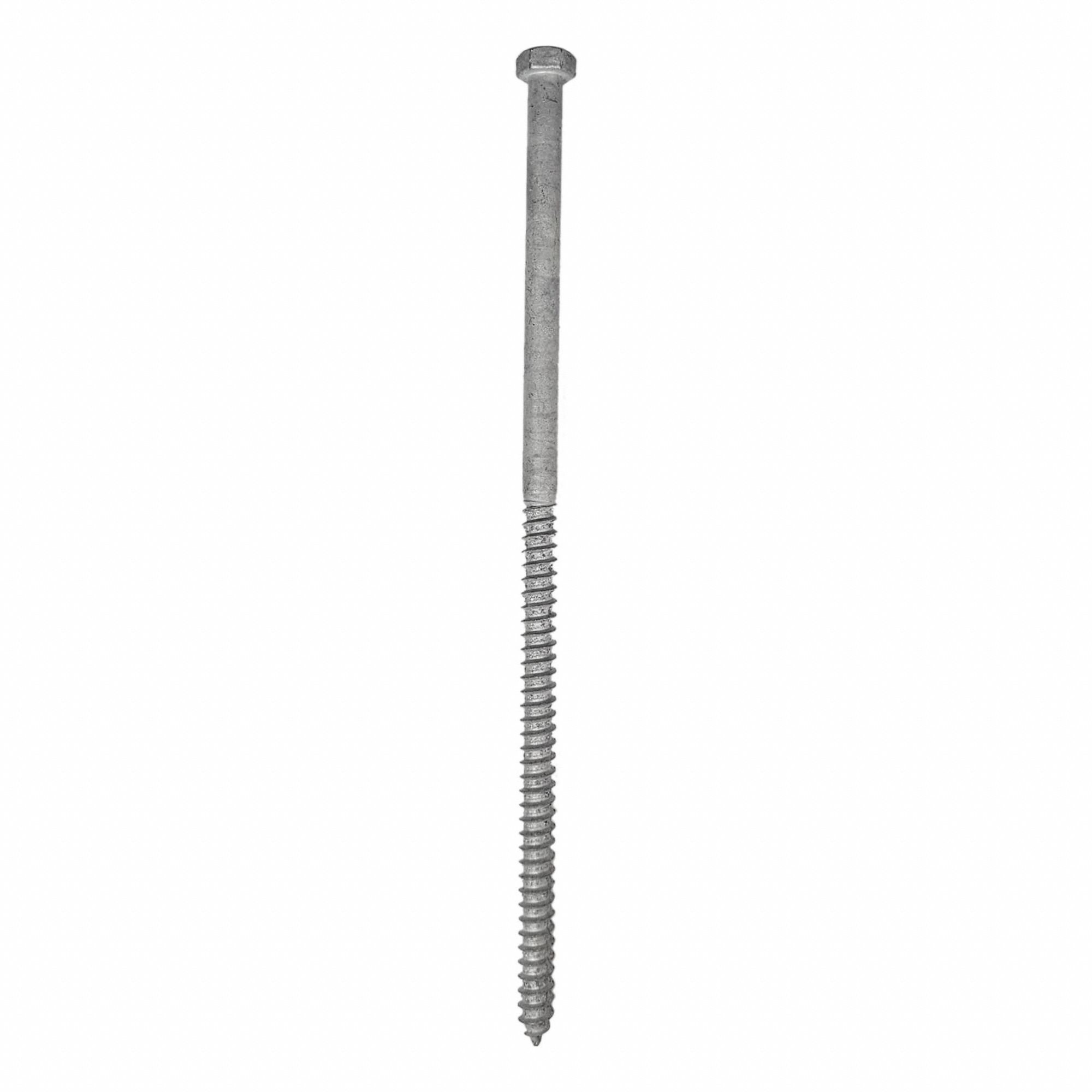 Hex Head Lag Screw: 3/8" Size, 10 in Lg, Steel, 50 PK
