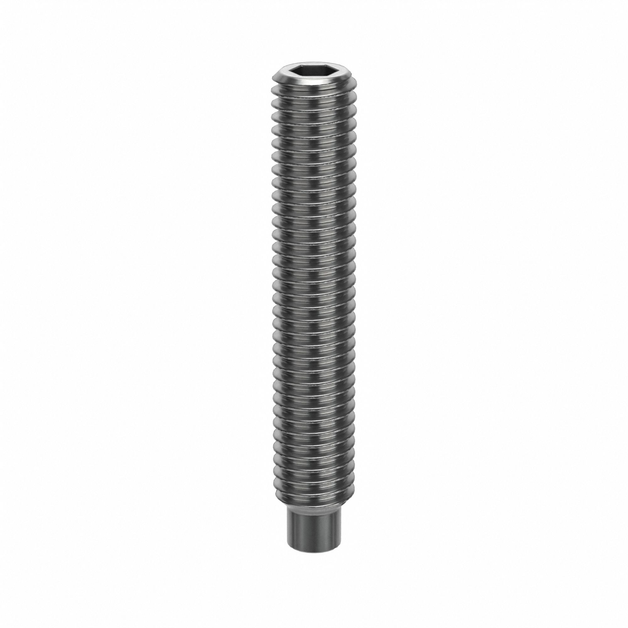 Socket Set Screw: M5x0.8 Thread Size, 30 mm Overall Lg, Dog pt, Stainless Steel, Plain, 100 PK