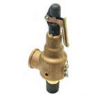 SAFETY RELIEF VALVE,3/4IN.X1IN.,125 PSI