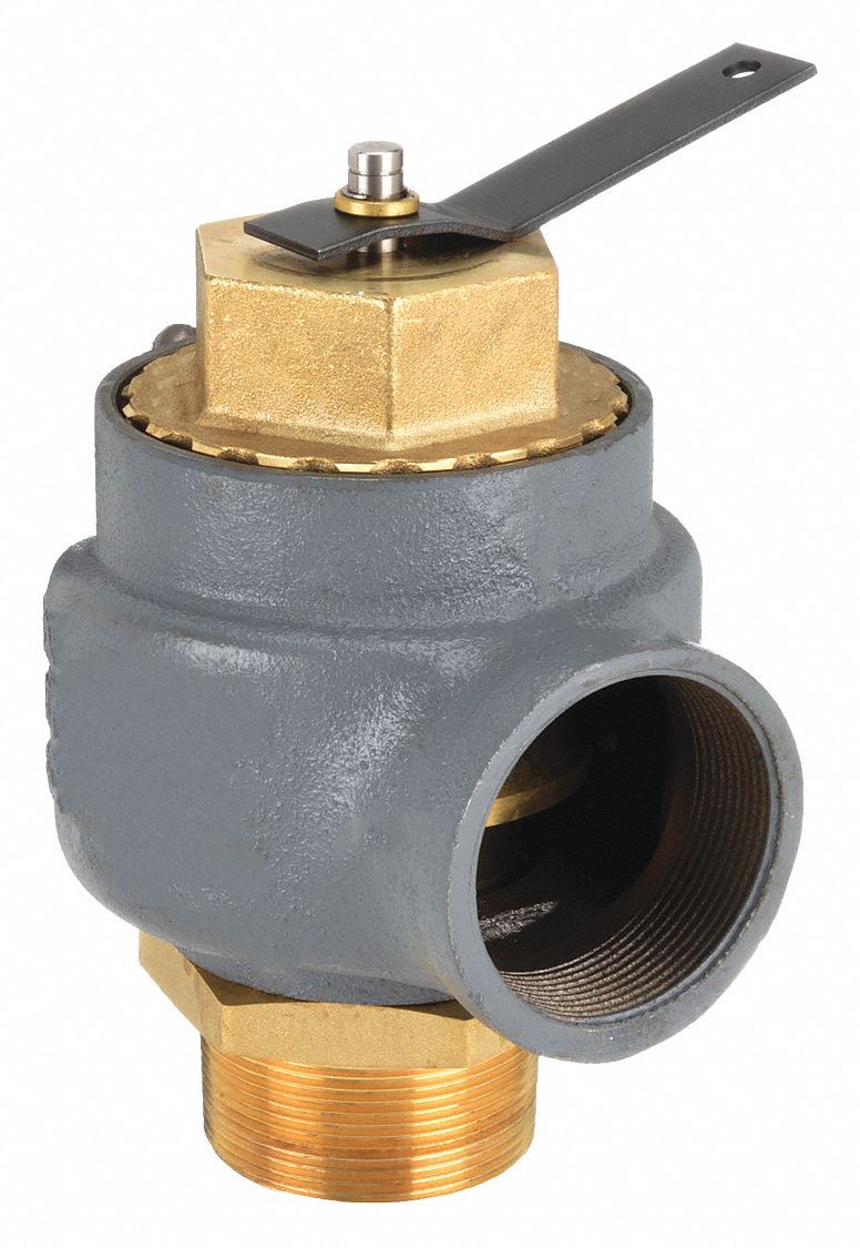 KUNKLE VALVE Safety Relief Valve Cast Iron, MNPT, FNPT, 2 in Inlet