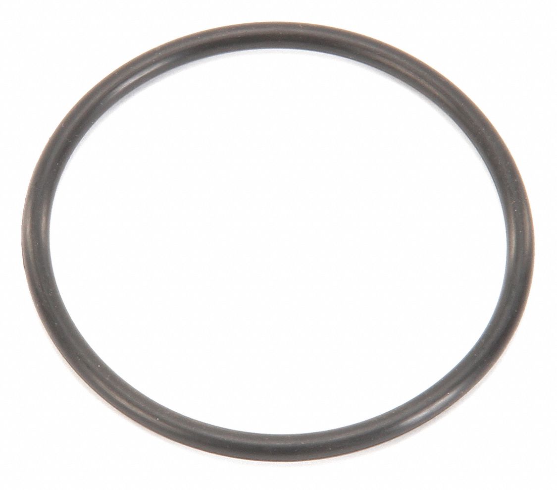 O-Ring: PI500496