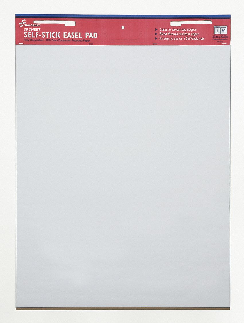 ABILITY ONE Plain Easel Pads with 30 Sheets, 25 in x 30 in 31UE03