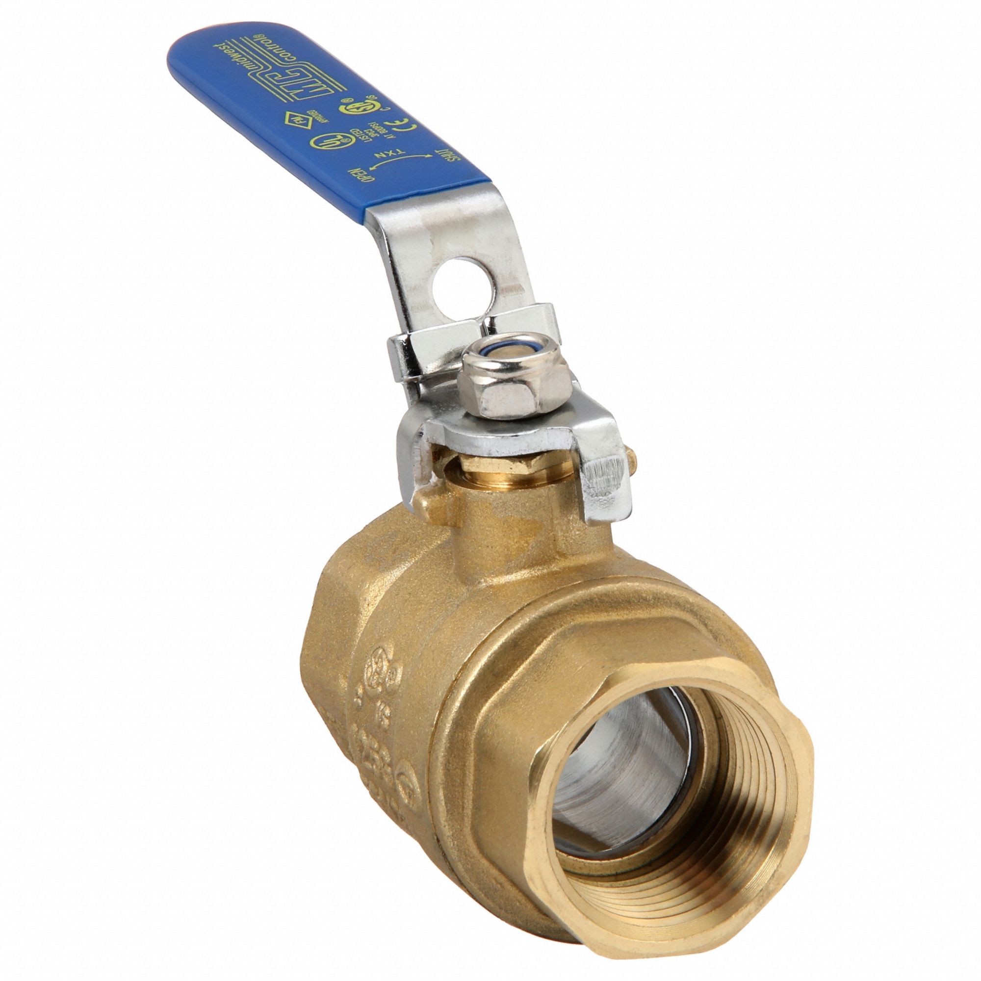 Manual Two-Way Ball Valve: 1 in, Straight, FNPT x FNPT, 600 psi Max. Pressure (CWP)