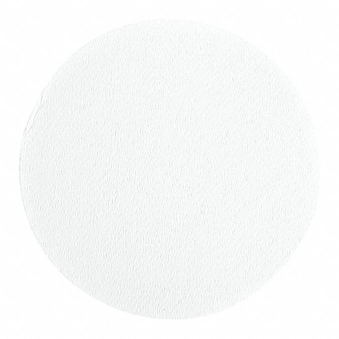 Glass Microfiber Filter: C, 2.4 cm Dia, 0.26 mm Thick, 1.2 um Pore Size