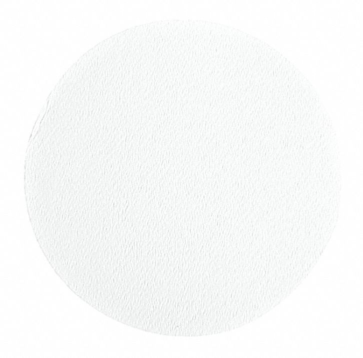 Glass Microfiber Filter: B, 2.1 cm Dia, 0.68 mm Thick, 1 um Pore Size
