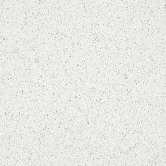 ARMSTRONG, 584BPL, 24 in x 24 in, Ceiling Tile 32WN03584BPL Grainger