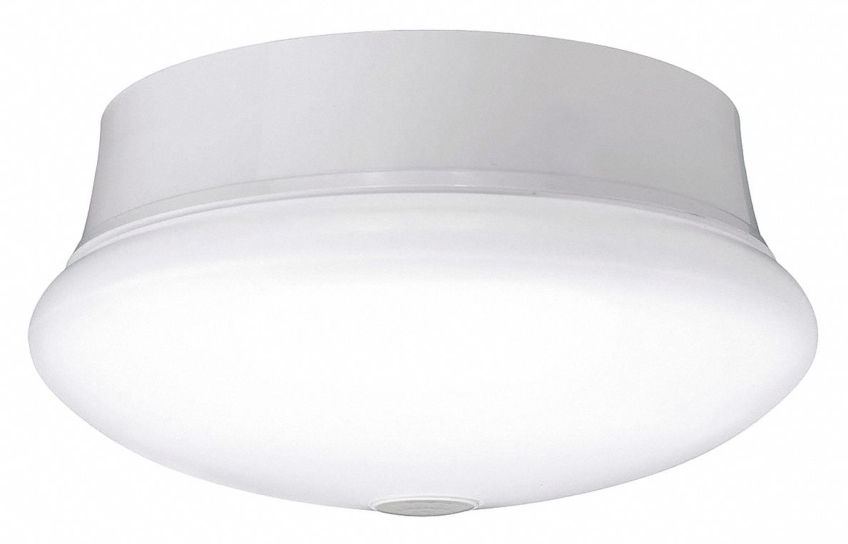 Flush Mount Light: