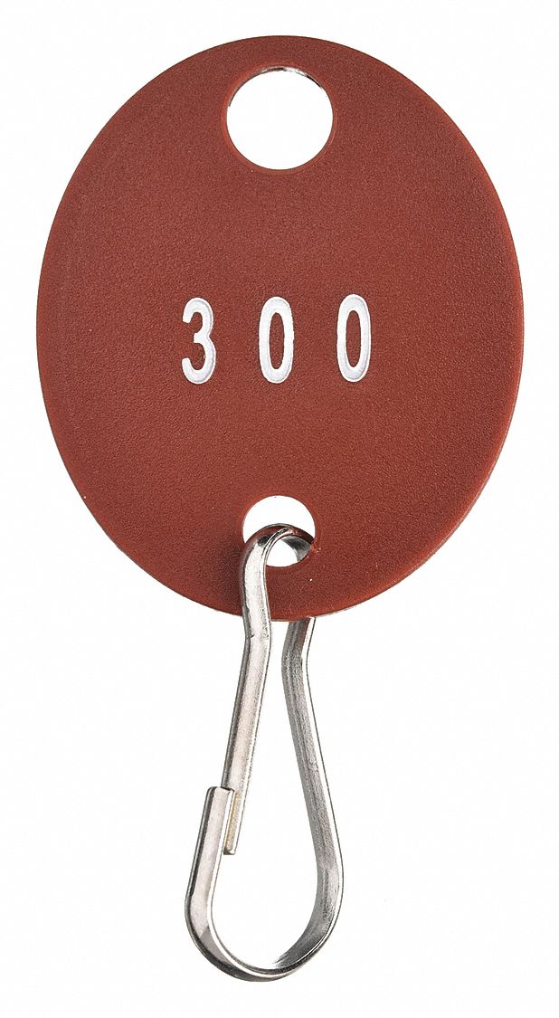 Oval, 1 3/8 in Ht, Key Tag Numbered 201 to 300 33J88533J885 Grainger