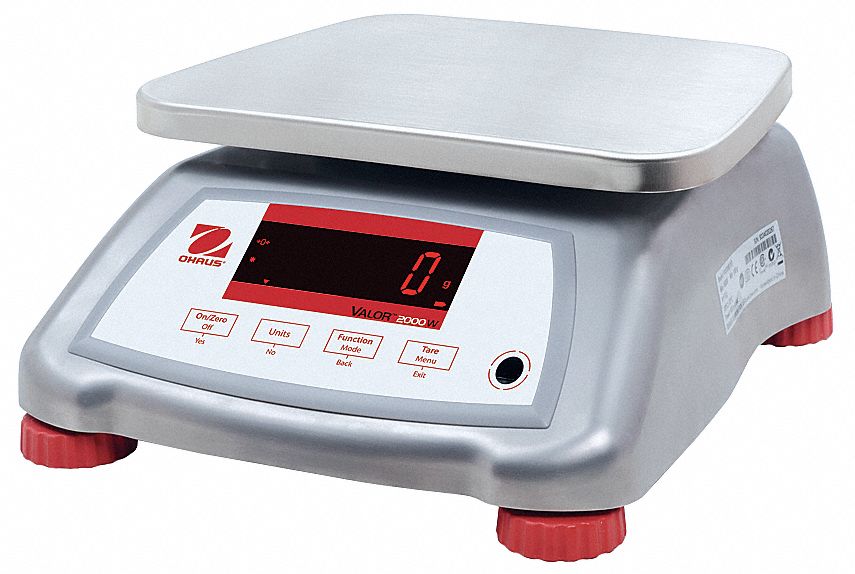 FOOD PRCSSNG SCALE,SS,0.002KG/0.001 LB.