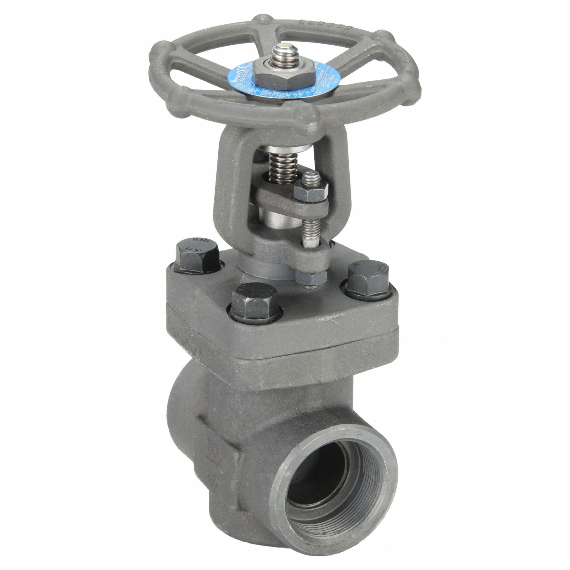 NEWCO, 2 in, Carbon Steel, Gate Valve - 33Z871|02-18T-FS2-BB-RP-NC ...