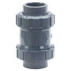 CHECK VALVE,PVC AND EPDM,2 IN.