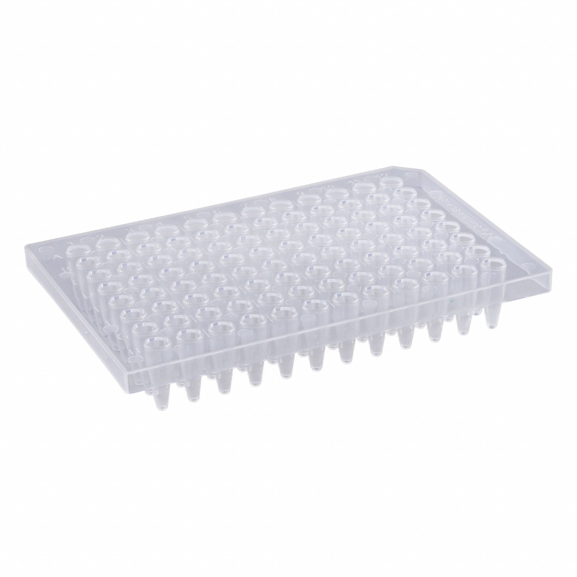 PCR Well Plate White PK50