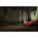 Product Image #5