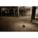 Product Image #7