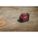 Product Image #9