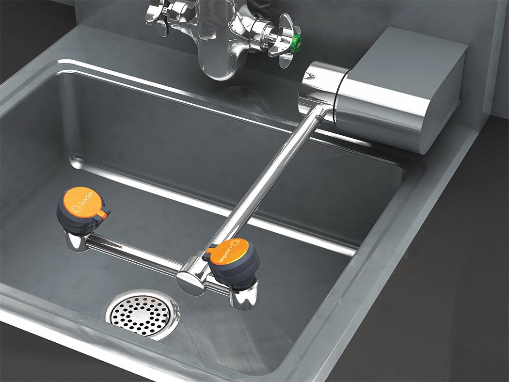 Plumbed Eyewash: Std, Wall Mnt, Eyes Coverage, No Bowl, Chrome-Plated Brass Pipe