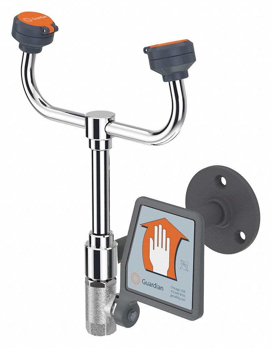 Plumbed Eyewash: Std, Wall Mnt, Eyes Coverage, No Bowl, Chrome-Plated Brass Pipe