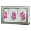 Glove Dispensers for Food Service image
