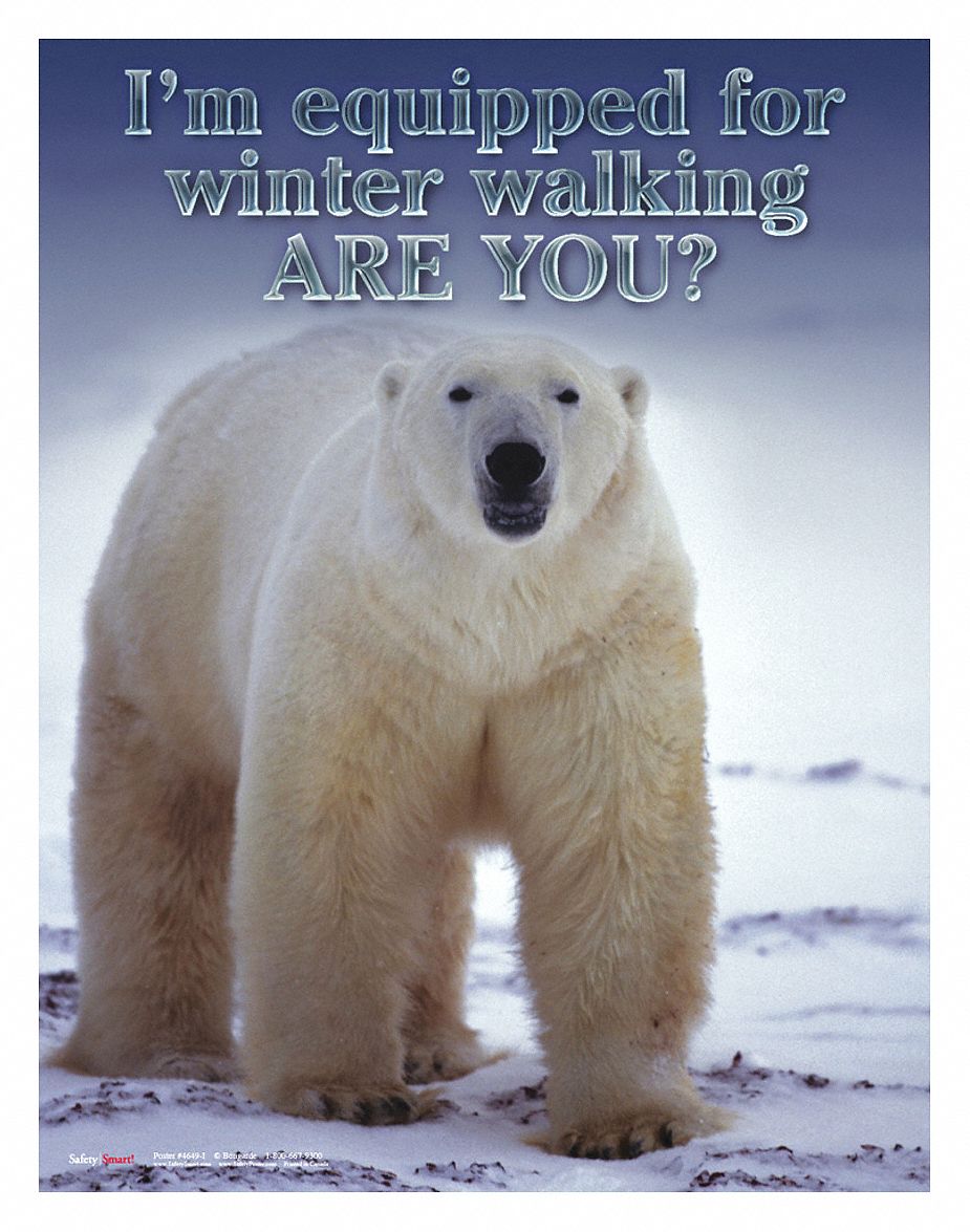 Safety Poster: 22 in x 17 in Nominal Sign Size, No Protective Coating, Write on Surface, English