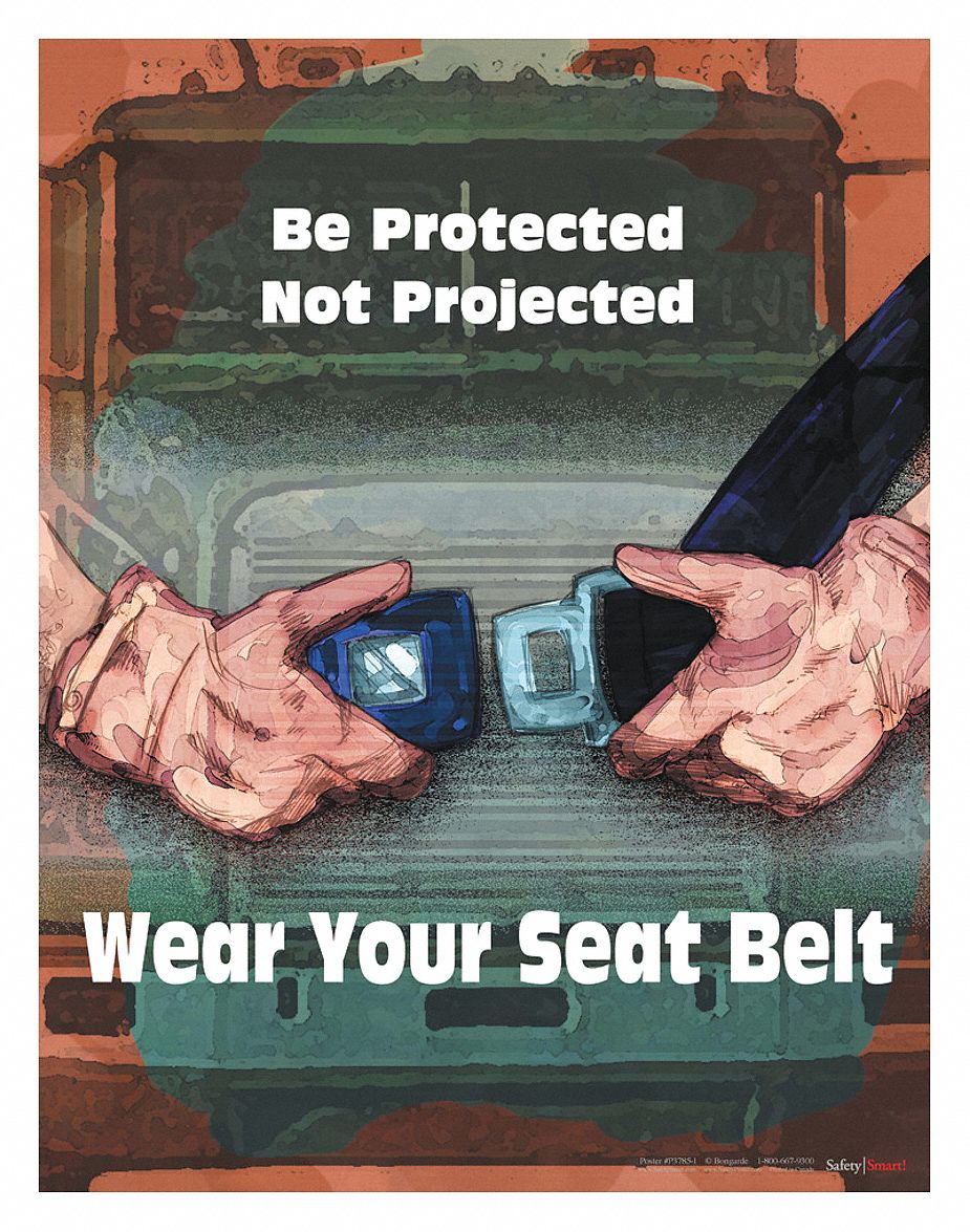 Seat Belt Safety Posters Ubicaciondepersonas Cdmx Gob Mx
