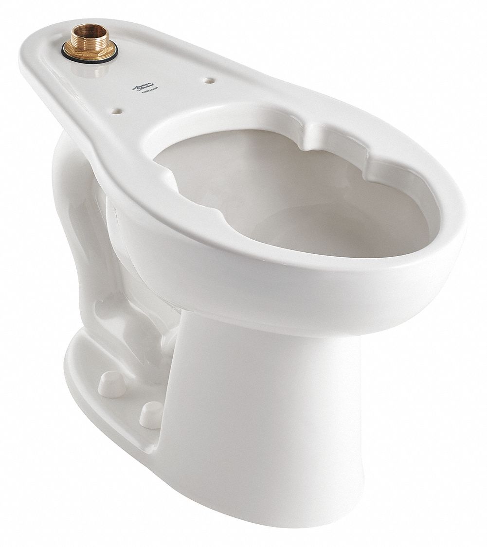 AMERICAN STANDARD Elongated, Floor, Flush Valve, Bedpan Holding Toilet