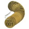 Domestic Cold Water Numbered Valve Tags