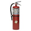 BUCKEYE Dry Chemical Fire Extinguishers image