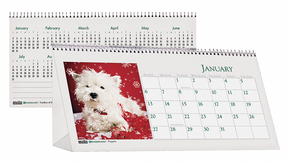 HOUSE OF DOOLITTLE, 8 1/2 in x 4 1/2 in Sheet Size, Puppy Monthly Desk