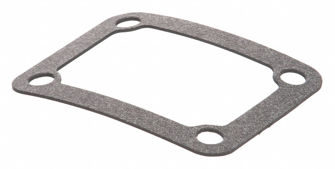Gasket G 316 and 317 Inspt Covr: Fits STERO Brand