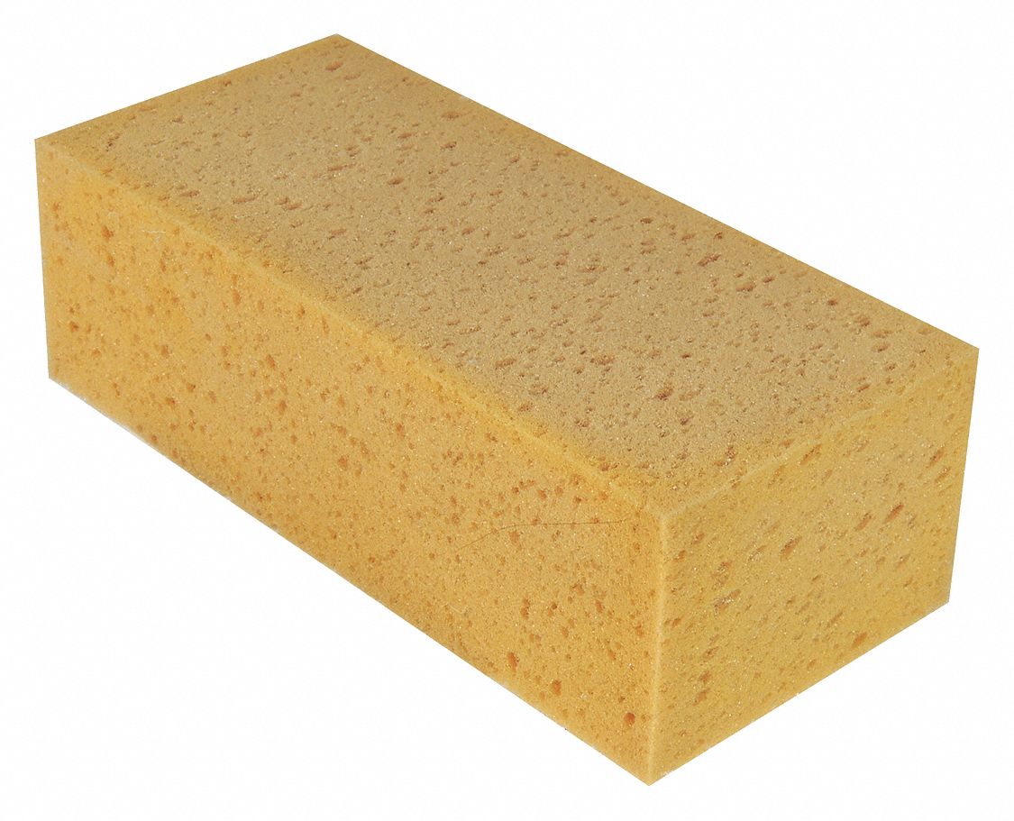 Sponge, Yellow