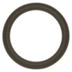 Q-Line Sanitary Gaskets