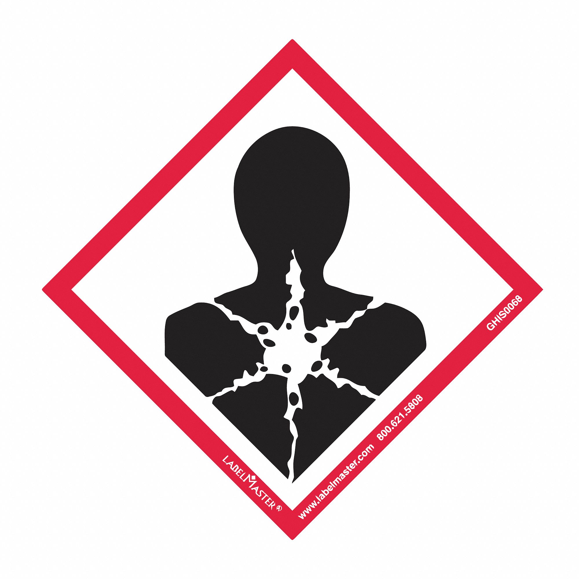 LABELMASTER GHS Health Hazard Label Paper 4 In Height 4 In Width