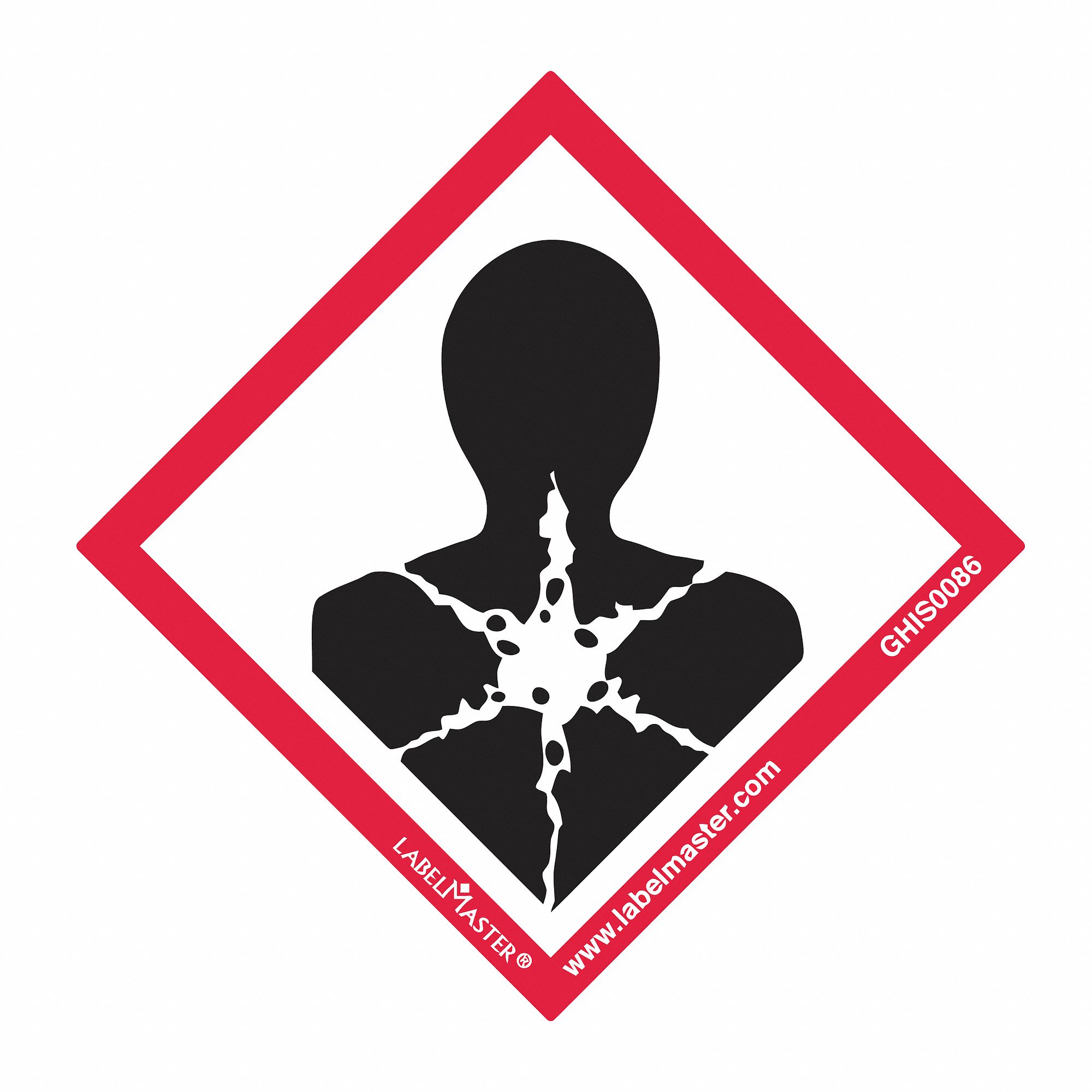 LABELMASTER GHS Health Hazard Label, Polypropylene, 2 in Height, 2 in ...