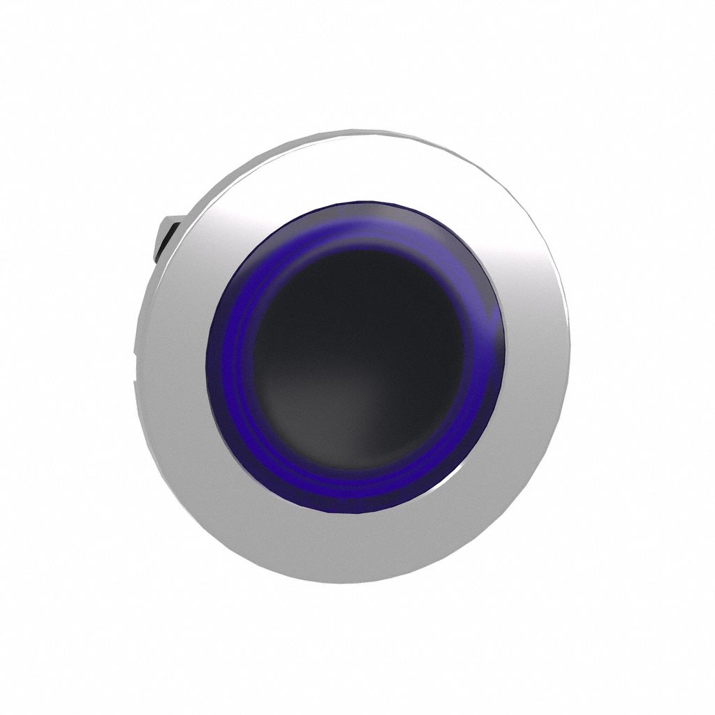 Flush Push Button: Blue, 30 mm Mounting Size, Metallic, Momentary