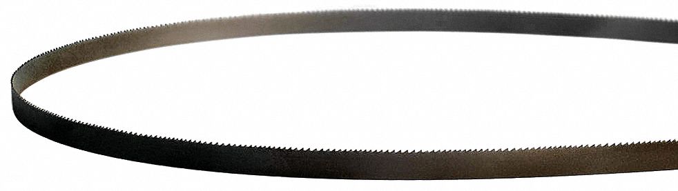 Band Saw Blade 10Ft