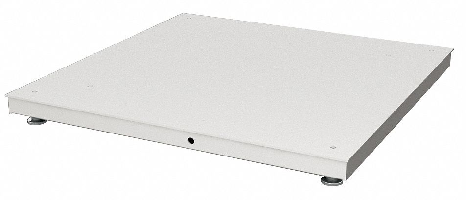 Floor Platform Scale: 10, 000 lb Wt Capacity, 48 in Weighing Surface Dp, kg/lb, 2 lb