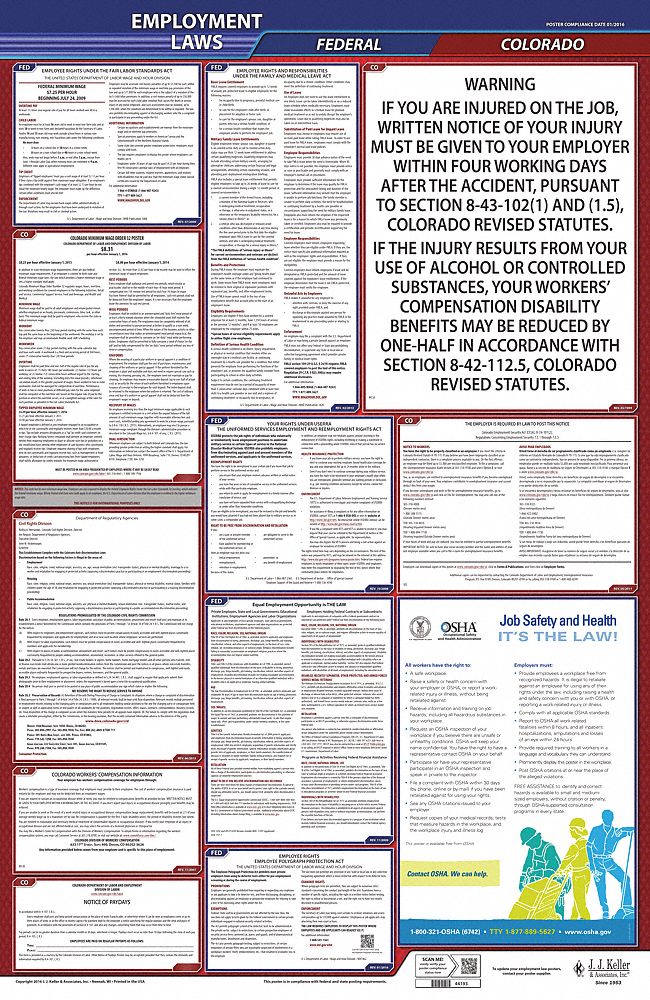 Labor Law Poster: CO, English, Plastic, 24 in x 40 in, Federal and State Labor Law