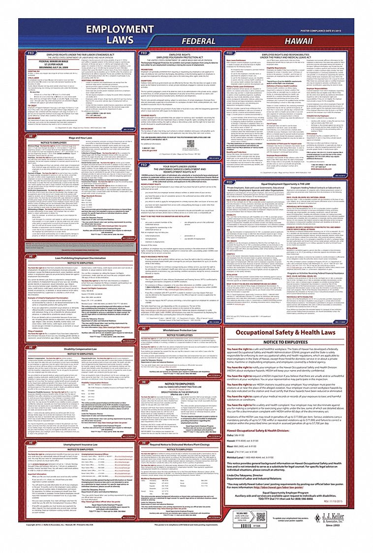 Labor Law Poster: Federal and State Labor Law, HI, English, Plastic, 24 in x 40 in, FMLA